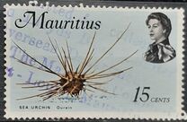 [Marine Life, type FC]