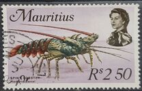 [Marine Life, type FM]