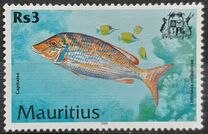 [Fish, type AAV]