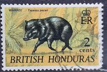 [Wildlife, տեսակ DA]