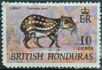 [Wildlife, տեսակ DE]