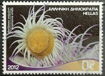 [Marine Life - Riches of the Greek Seas, type CEJ]