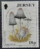 [Mushrooms, type WG]