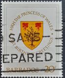 [The 21st Anniversary of the Birth of Princess of Wales, typ PH]