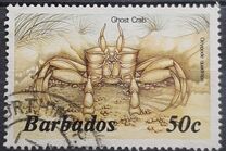 [Marine Life, type RT]