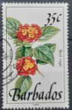 [Wild Plants, Tipe YI]