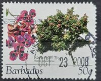 [Flowering Trees, 類型 AWA]
