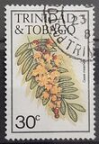 [Flowers - Without Imprint, tegund ML]