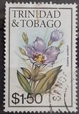 [Flowers - Without Imprint, tegund MR]