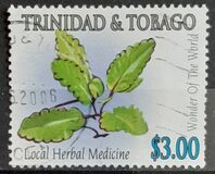 [Medicinal Plants, type AAM]