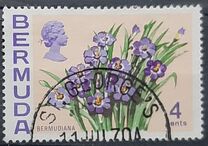 [Flowers, type EE]