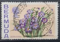 [Flowers, type EE]
