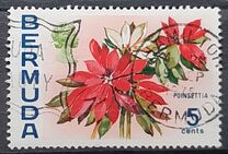[Flowers, type EF]