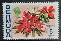 [Flowers, type EF]