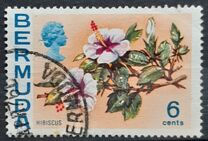 [Flowers, type EG]