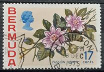 [Flowers, type GN]