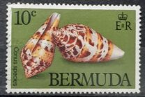 [Sea Shells, type KG]