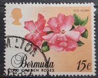 [Old Garden Roses, type OP]