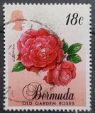 [Old Garden Roses, type PO]