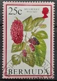 [Flowering Fruits, Tipi TV]