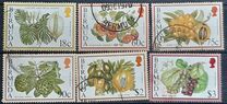 [Flowering Fruits, type UI]