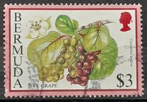 [Flowering Fruits, type UN]