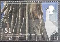 [The 100th Anniversary of Botanical Gardens, Typ XI]