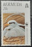 [Endangered Species - Bird Conservation, type YS]