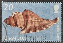 [Shells, type AAD]