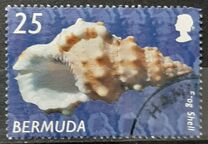 [Shells, type AAE]