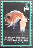 [The 100th Anniversary of Bermuda Biological Research Station, Scrivi AAY]