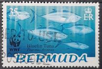 [Endangered Species - Bluefin Tuna, type ABW]