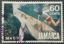 [Marine Life, type SH]