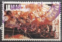 [Marine Life, type SJ]