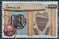 [Cricket Players, Вид YD]