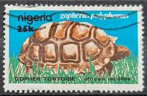 [African Reptiles, tegund OU]