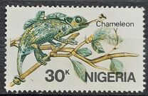 [African Reptiles, tegund OV]