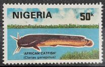 [Nigerian Fish, type SU]