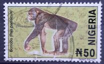 [Wildlife, प्रकार YV]