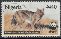 [Especies en peligro de extinción. Chacal rayado. Canis adustus., tipo ZV]
