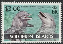 [Dolphins, տեսակ AAA]