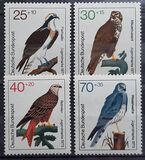 [Youth Hostel - Birds, Typ UA]