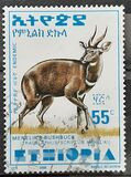 [Menelik´s Bushbuck, type AZF10]