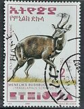 [Menelik´s Bushbuck, type AZF19]