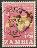 [The 1st Anniversary of Independence, tyyppi V]