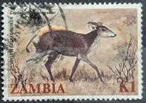 [Local Mammals, tipas JL]