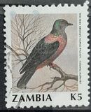 [Birds, type RU]