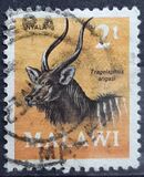 [Decimal Currency - Antelopes, type CY]