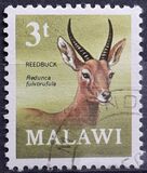 [Decimal Currency - Antelopes, type CZ]