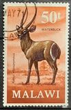 [Decimal Currency - Antelopes, type DG]